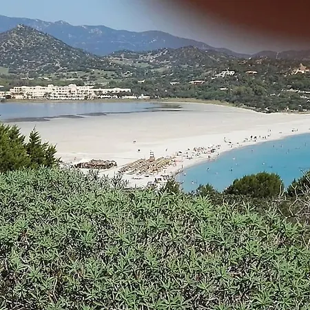 Rokkaria 7 *
